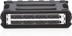 Gator Cases Pro Series Rotationally Molded 2U Rack Case with Shallow 13″ Depth