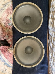 2x JBL 2220B Alnico 15” Speaker Works Warped Recone But Sounds Good Horn Loaded