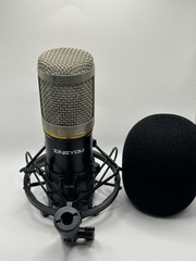 ZINGYOU BM-800 & Shock Mount