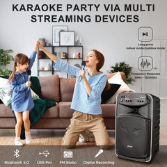 GTSK12-2 Portable Bluetooth PA Speaker System, Wireless Karaoke Loudspeaker w…