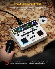 AVE-100 Vocal Effects Processor with Auto Pitch Correction/Harmony/Echo/Rever…
