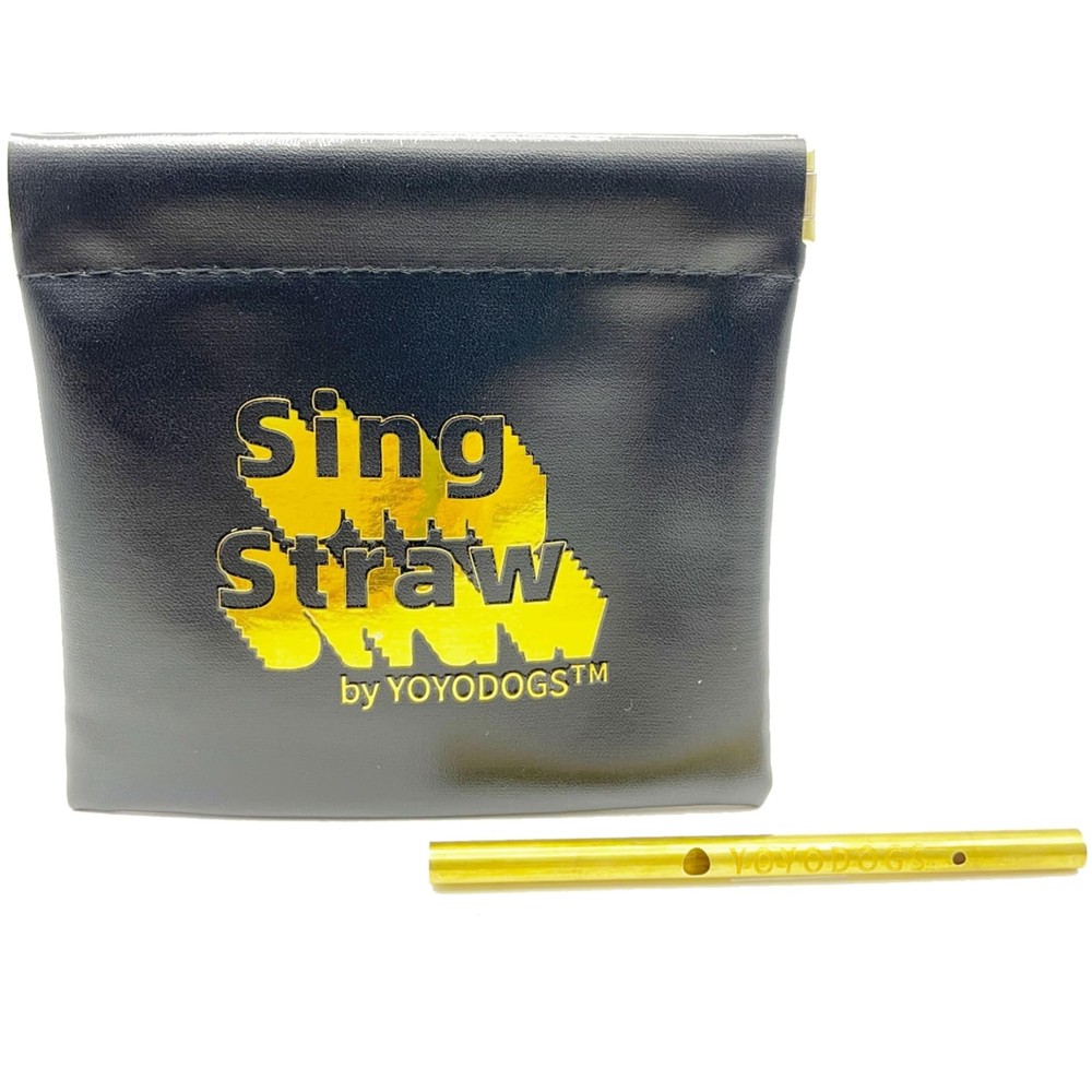 Vocal Training and Healing Aid Tool,Sing Straw Voice Vocal Trainer Metal Ther…