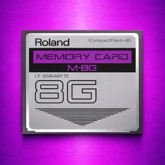 Roland 8GB CF CompactFlash Memory Card for Fantom-X6, X7, X8 XR Xa Verified M-8G