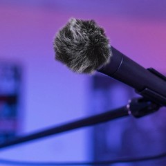2Pcs Splash-proof Microphone Sleeve Practical Professional Microphone Cover