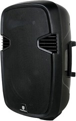 Proreck PR-C15 Portable 15-inch 600 W 2-Way PA Speaker Party Speaker