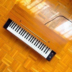 Super Rare Farfisa Reed Pumped Air Organ (Italy, 1950s) Vintage Electric Organ!