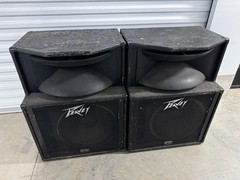 Peavey SP2A Monitor Speaker With Woofer / Horn – Black Widow Speaker Floor Stage