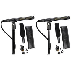 2) Audio Technica AT875R Short Shotgun Condenser Microphones w/ Line+Gradient DV