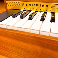 Super Rare Farfisa Reed Pumped Air Organ (Italy, 1950s) Vintage Electric Organ!