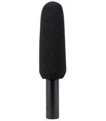 2) Audio Technica AT875R Short Shotgun Condenser Microphones w/ Line+Gradient DV