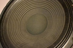 Randall 12″ 16 Ohm Replacement Speaker