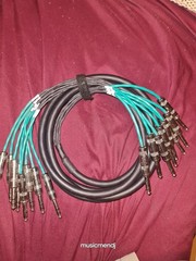 Bespeco Italy 10ft 8-Channel 1/4″ TRS to 1/4″ TRS Balanced Snake Cable