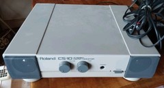 Roland CS-10 Stereo Micro Monitor Speaker System UNTESTED Powers On