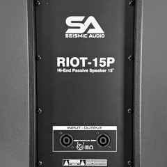 Riot 15P 15″ Passive 2-Way 900W PA DJ Speaker Cabinet