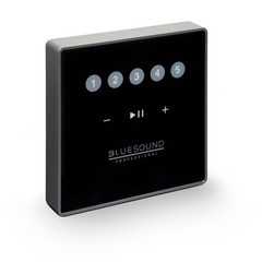 Bluesound Professional B100S BluOS network music player + Control Panel CP100
