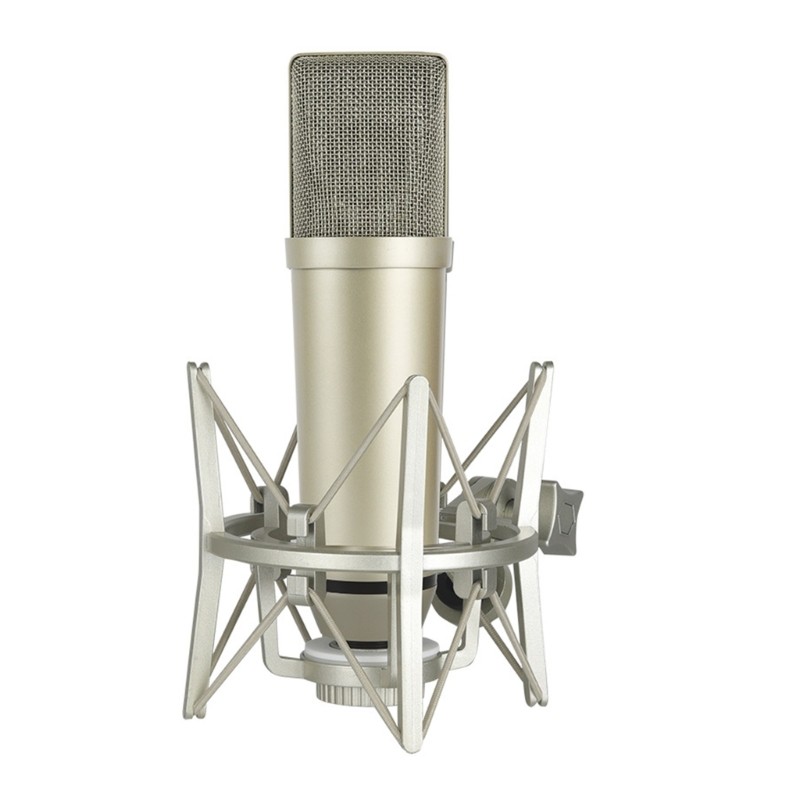 High Sensitivity Condenser Microphones Noise Reductions XLR Interfaces For Home