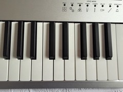 Korg Polyphonic Analogue Synthesizer Mini Logue 060052 120EX-00 S-12