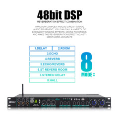 DSP Professional Audio Digital Processor 110V 220V KTV Karaoke Effect System New