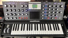 Moog Minimoog Voyager Select Series (Black Wood & Purple Lights)