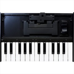 Roland K-25M Keyboard for Boutique Synth Modules