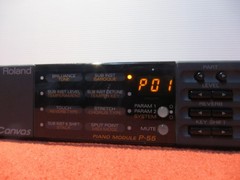 Roland P-55 Sound Canvas Piano Module Tested Made in Japan w/ power supply