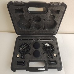 Warm Audio WA-84 Stereo Pair Small-diaphragm Condenser Microphones + Case Mounts