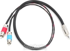 Pro Co IPMB2R-2 3.5mm TRS Male to Dual RCA Male Insert Cable – 2′