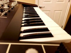 OBERHEIM OB-1 FULLY SERVICED ULTRA RARE IN AMAZING CONDITION!