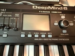 Used Great Condition Behringer DeepMind 6 37-Key 6-Voice Analog Synthesizer