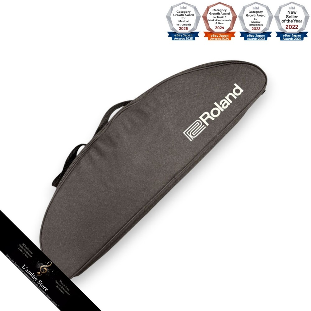 Roland Aerophone AE10 Digital Wind Instrument with Case Accessories