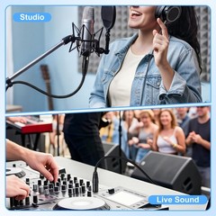 6ft XLR Cable 2-Pack, Nylon Braided Male to Female Mic Cable for Studio & Live S
