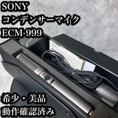Sony Condenser Microphone ECM-999 2 Stereo Complete Used From Japan
