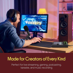 Portable Bluetooth Live Broadcast Sound Card Pro Audio Interface DJ Mixer Conden
