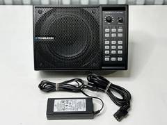 TC Helicon VoiceSolo FX150 Personal PA Vocal Monitor Voice Solo w/ Power Adapter