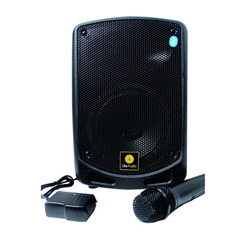 Compact & Portable Bluetooth PA Speaker – Karaoke System with Mic (PSBT65A)
