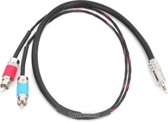 Pro Co IPMB2R-2 3.5mm TRS Male to Dual RCA Male Insert Cable – 2′