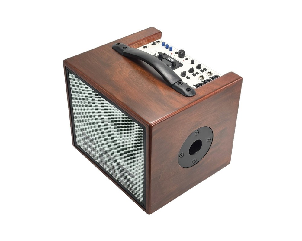 Elite Acoustics D4-8 Rechargeable 8” Acoustic Amp with 4 Channel Digital Mixer