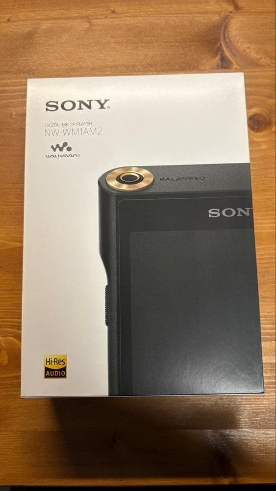 Sony NW-WM1AM2 Walkman Digital Audio Player Hi-Res Audio USB Cable Tested