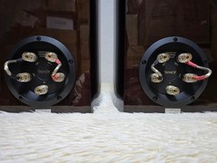 TANNOY Precision 6.1 Bookshelf Speakers Pair Dark Walnut Piano Finish