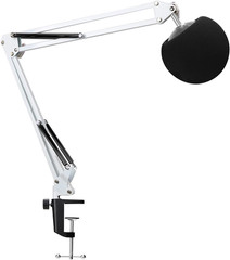 Mic Stand with Pop Filter – Microphone Boom Arm Stand with Foam Cover Windscreen