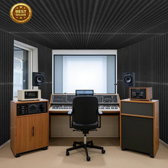 10 Pack Peel Stick Acoustic Panels 12×48 Self Adhesive Soundproof Wall Black
