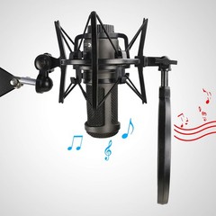 AT2020 Shock Mount with Pop Filter, Windscreen and Shockmount to Reduce Vibra…