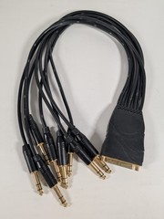 D’Addario Planet Waves PW-TRSB-01 DB25 to 8 TRS Breakout Cable