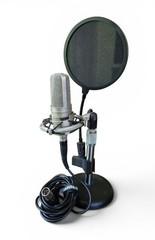Audio-Technica AT4047/SV Studio Condenser Microphone w/ Shock Mount Pop Filter