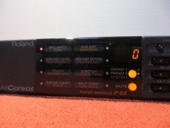 Roland P-55 Sound Canvas Piano Module Tested Made in Japan w/ power supply