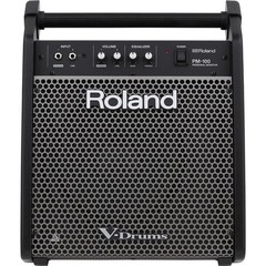 Roland PM-100 80W Personal Drum Monitor, 10″ Woofer