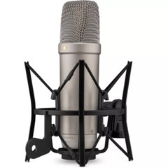 Rode NT1 5th Gen Hybrid XLR / USB Studio Condenser Microphone (Silver)