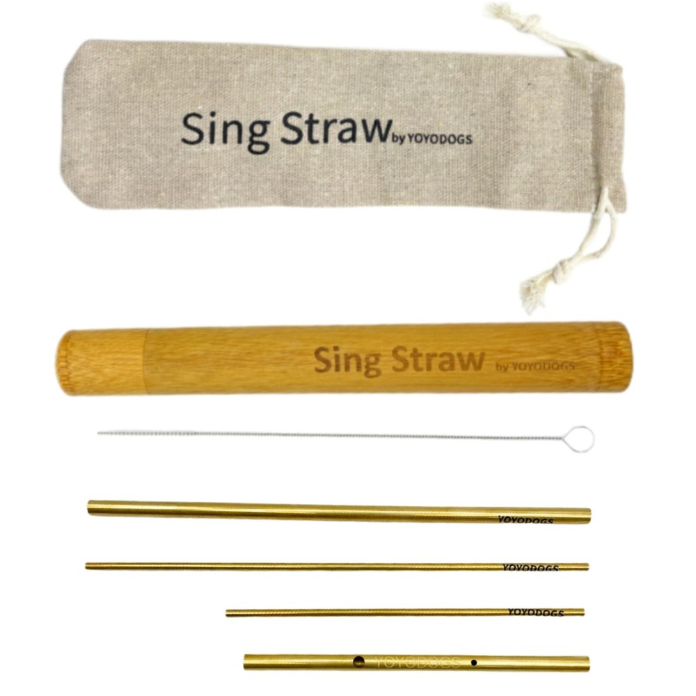 Vocal Training and Healing Aid Tool,Sing Straw Voice Vocal Trainer Metal Ther…