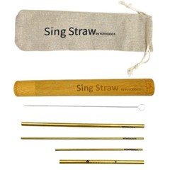 Vocal Training and Healing Aid Tool,Sing Straw Voice Vocal Trainer Metal Ther…