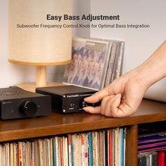 Fosi Audio TP-02 Subwoofer Amplifier Home Audio Mini Bass Amp Mono 220W